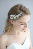 Bridal Hair Jewelry Rhinestone Fancy Wedding Headdress Women Brides Hair Clips